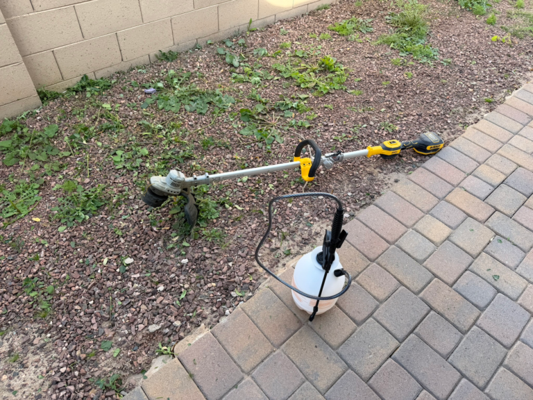 Removing tall overgrown weeds using a weed whacker and herbicide sprayer